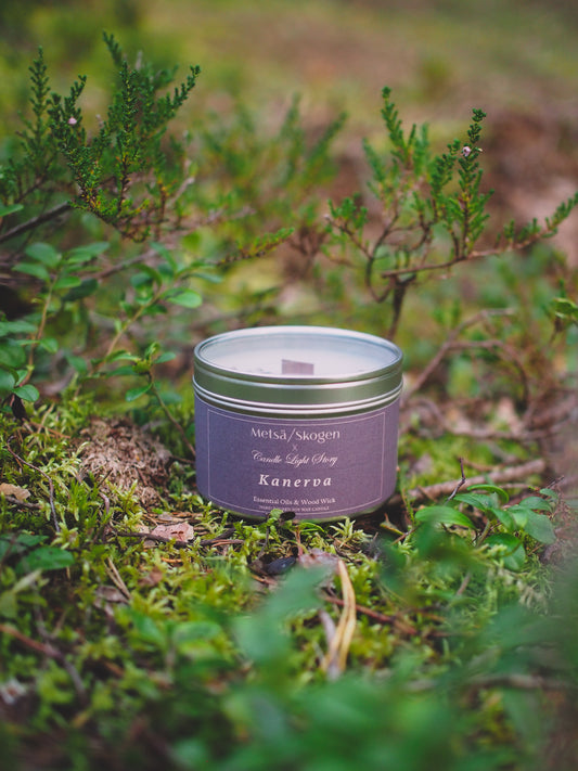 Soijavahakynttilä kanerva