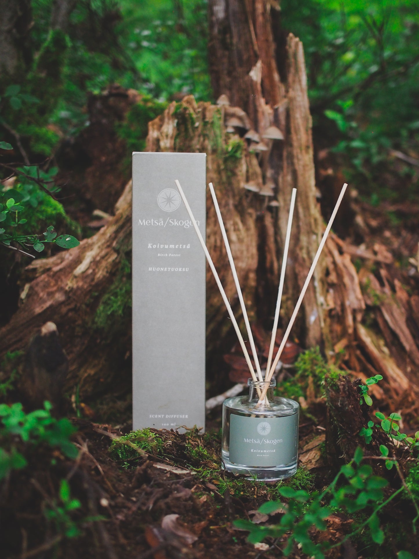 Room fragrance Birch Forest 100 ml