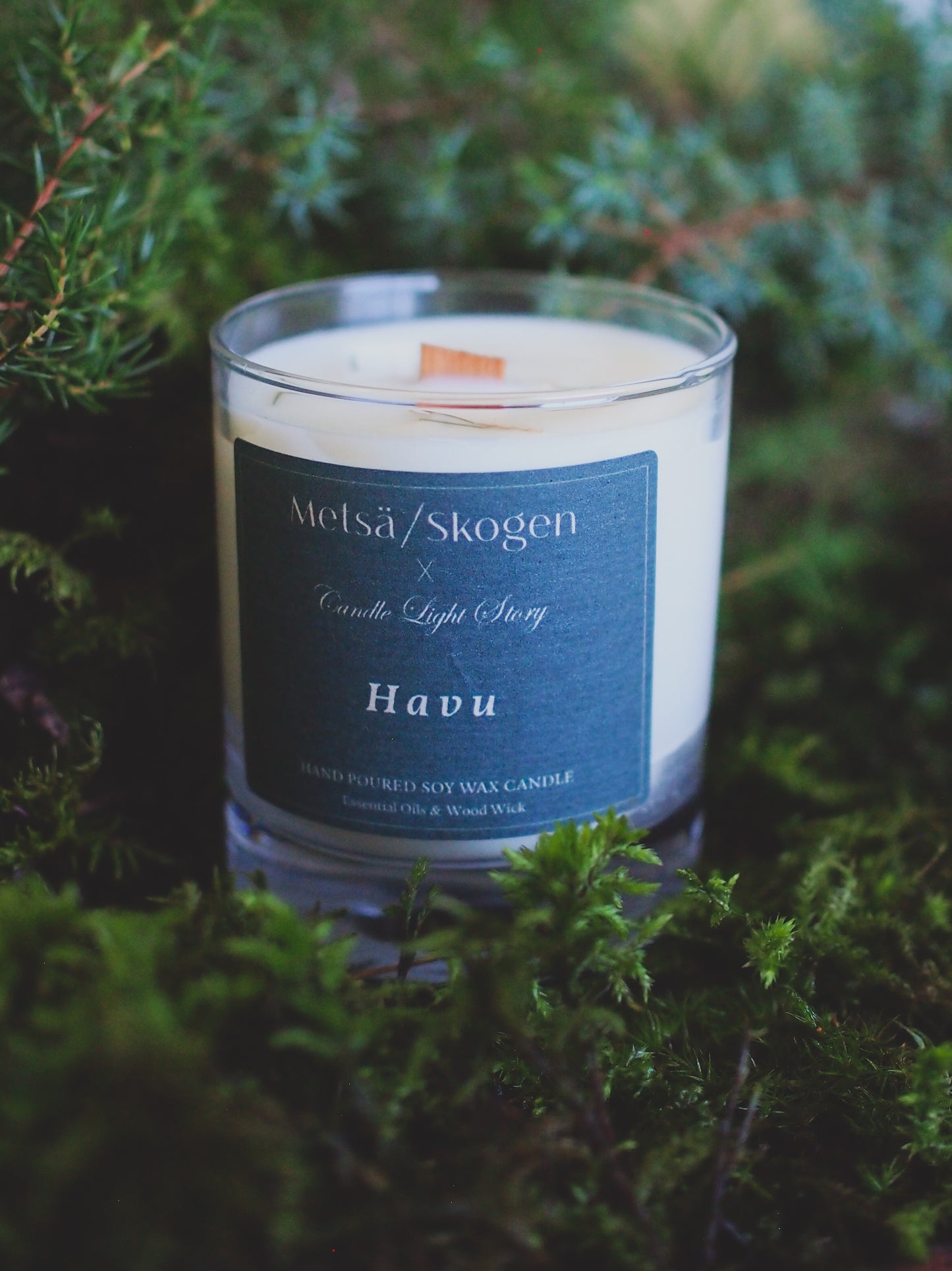 Soy Wax Candle Coniferous