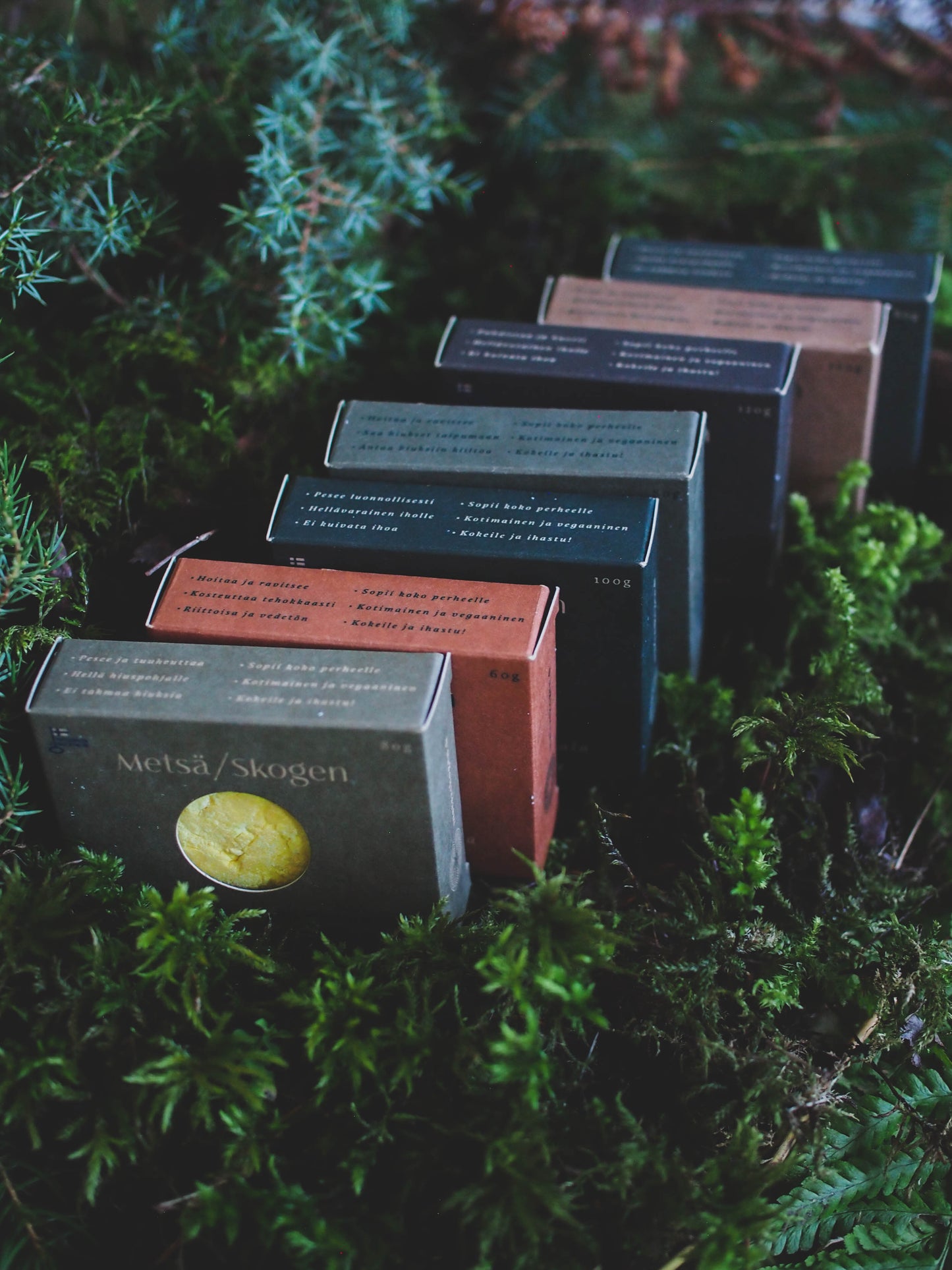 The Power of Sea Buckthorn Shampoo Bar