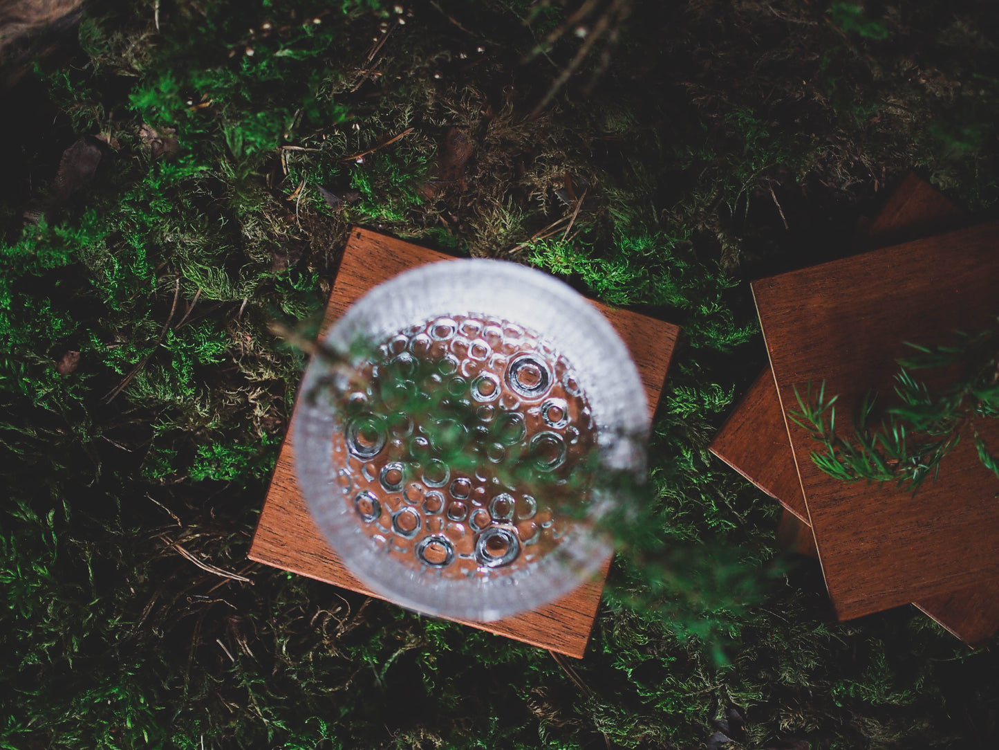 Coasters, Surplus Wood 4 pcs