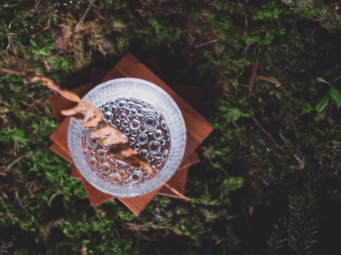 Coasters, Surplus Wood 4 pcs