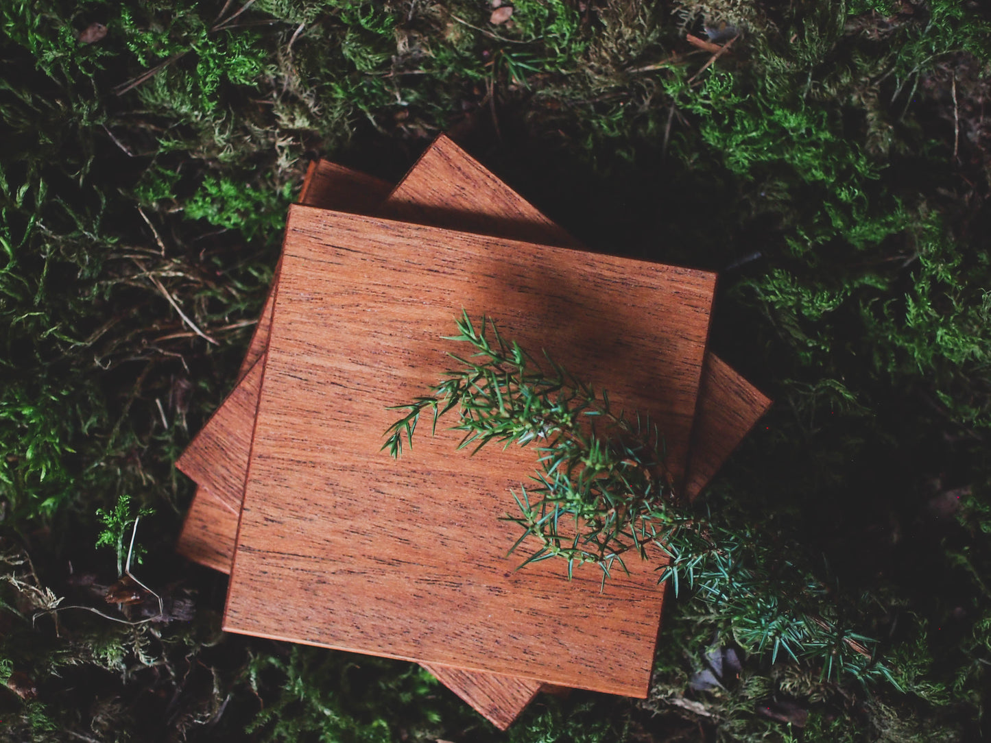 Coasters, Surplus Wood 4 pcs