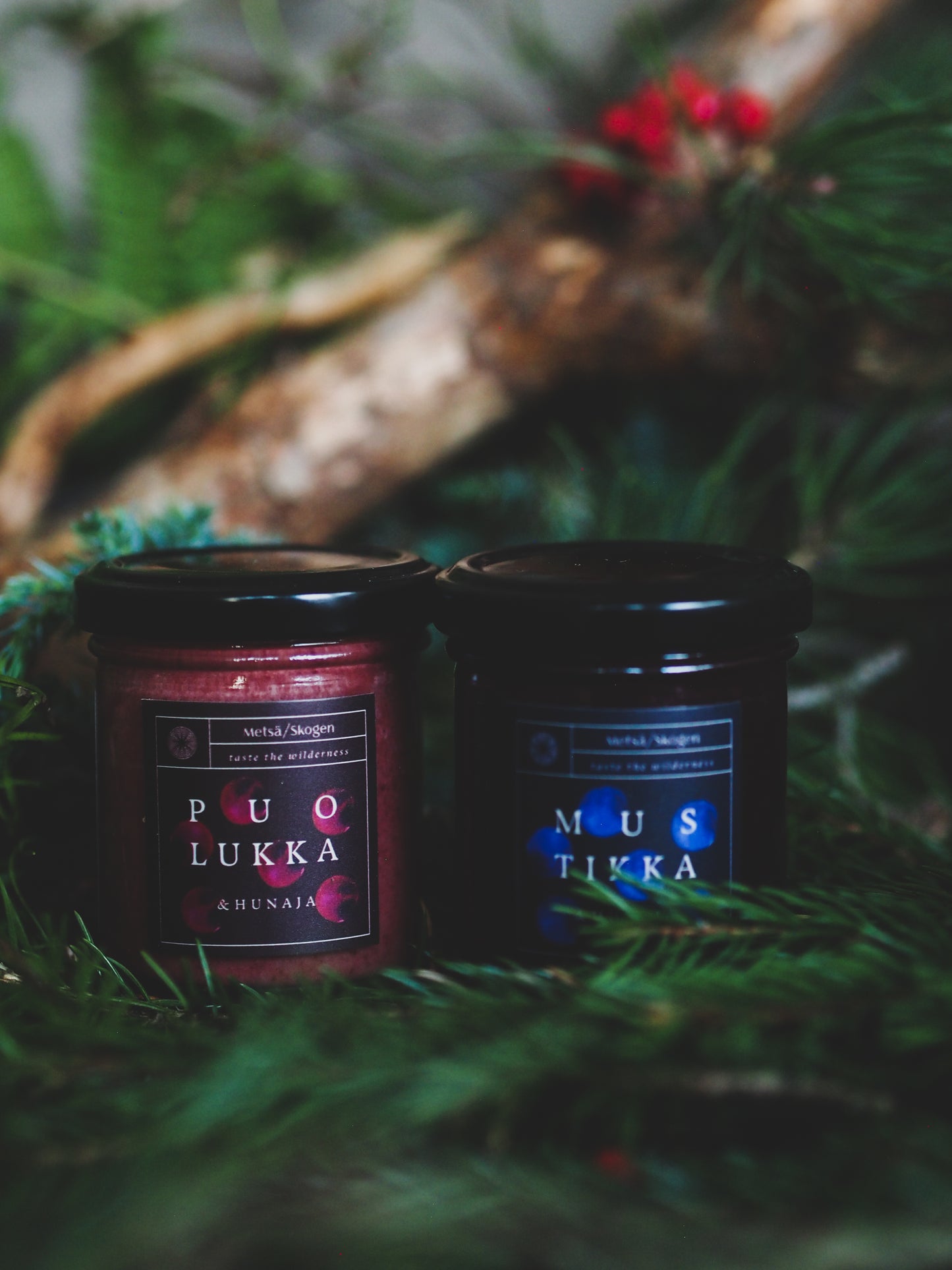 Metsä/Skogen Blueberry & Honey