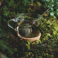 Engaging Winter Forest – Wild Herbal Tea 